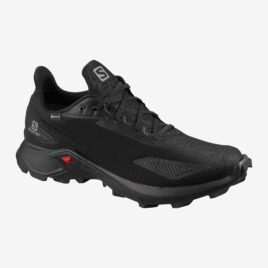Salomon, Alphacross Blast GTX