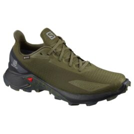 Salomon, Alphacross Blast GTX